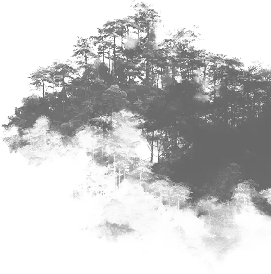 Wald_Berg_grau-min